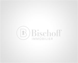 Graphisme site